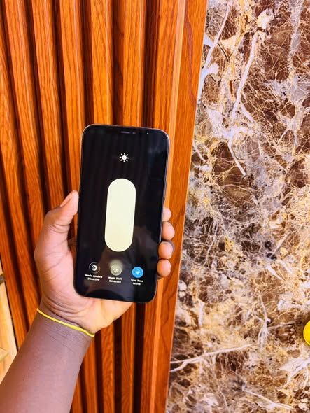 📱 iPhone 12 Pro Max – 256 Go