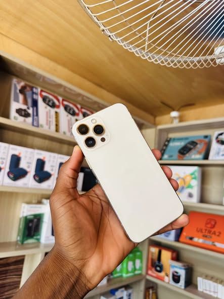 iPhone 13 Pro Max