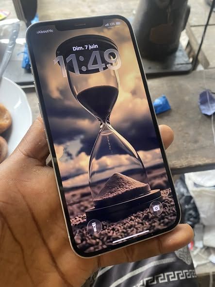 IPhone 12 Pro Max 256g